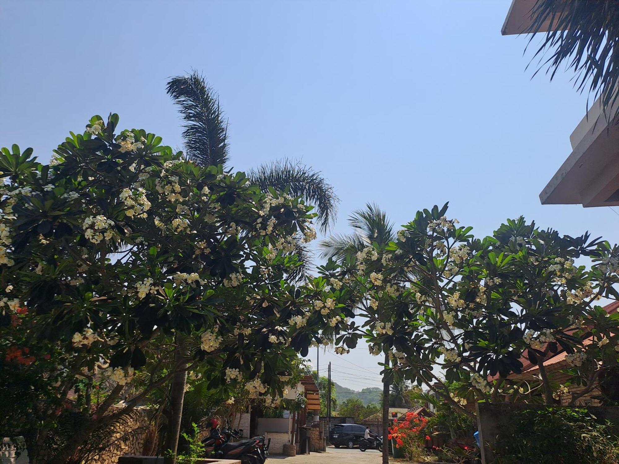 Kutabay Homestay Kuta  Экстерьер фото